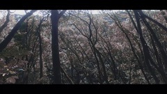 [Galaxy of Korea of _ of unoccupied place Zuo of