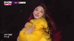 Roller Coaster arena is mixed cut _ gold to ask su