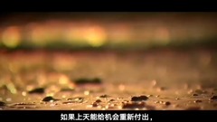 Lost happy pig _ Jiang Yuyang