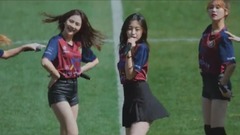 Firework - field of group of citizen of cropland o