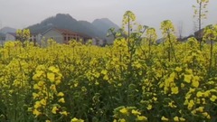 Cole of Hubei fierce acupuncture point spends _ mu