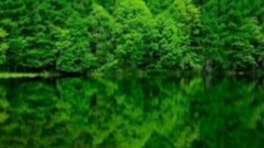 Do not say to love my _ Zheng Yuan when I am dolef