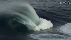 Short of music of Vanessa Mae - Raga's Dance_