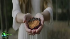 Scenery of John Sokoloff ~ Sunnywood_ , musical sh