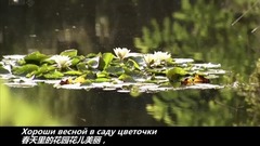 The garden flower in spring is beautiful _ Yan Xiu