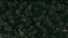 Person and natural thoughtful short " inherent "