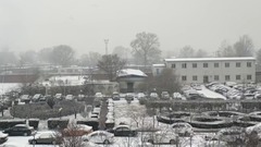 [immense forest music] galaxy of music of fabulous