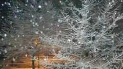 Scenery of Music By Raimonds Pauls_ , musical shor