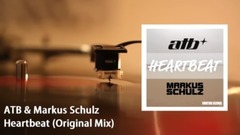 Heartbeat_ Euramerican galaxy