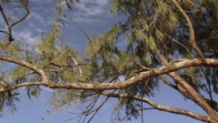 Sexy model 2018 scenery of _ of sports pictorial s