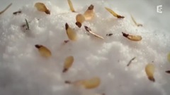 М of О of Т of О of О of Е of Д of И of В of Е of О of В of И of С of А of Р of К of Е of Щ of Ю of