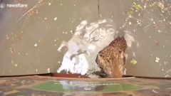 Short of music of _ of в of о of д of р of а of п of о of е of л of х of 2- of е of и of н of е of с