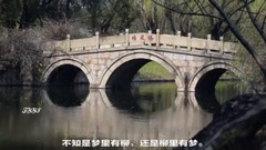 Galaxy of clever Chinese of smoke willow _ , scene