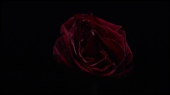 Crno Srce_ Euramerican galaxy