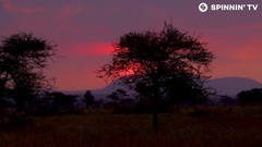 Mama Afrika_ Euramerican galaxy