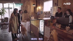 [Bus caption group] should build a car 190321 E01_