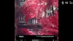 I'm Done With The World _Foals