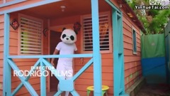 Panda Pon_ Euramerican galaxy