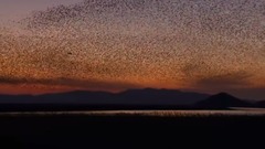 Scenery of lasting _ of Buddhist monastic discipli
