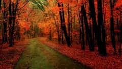 Euramerican galaxy of Swimming In The Liquid Lakes
