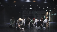 MIROH Dance Practice Video_Stray Kids