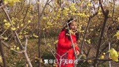 Wintersweet endows with _ Xu Ruyun