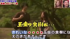 Day of setting of NG of fast cane labour colour th