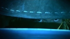 Shaolin Temple legend former voice of movie and TV