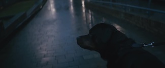 Calvin Harris, euramerican galaxy of Rag'n'Bone