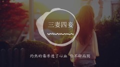 3 wife 4 concubine _ is imitated break up sing