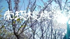 Suo Maying spends Gu Feng of _ of cereal governmen