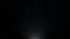 Enough To Believe_Bob Moses