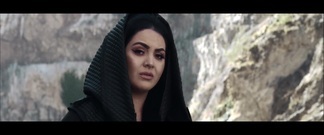 Akoma_ Euramerican galaxy