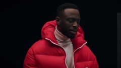 Adieu_ Euramerican galaxy