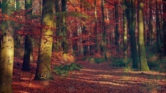 Giovanni Marradi Speak Softly Love_Giovanni Marrad