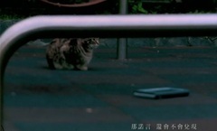 Contented    . - . [Susan says] .MV. _ contented