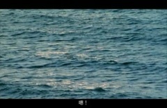 Yan Zi - thinks a sky - Xvid-2006- - Sun Yan