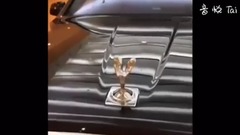 Nicki Minaj Proves Why She Is QUEEN! _Nicki Minaj