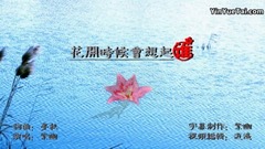 The flower attends a meeting moment to who remembe