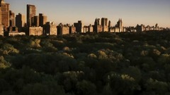 The strategy is especially diligent former voice o