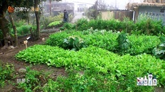 190405[Wang Yuan] putting bunny into the pocket is