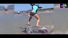 Euramerican galaxy of Andrew Manning - Daydreamer