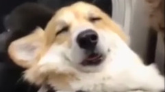 Exceed tired Ke Ji by subway, sit to strand _ bud