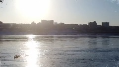 Scenery of ANTISTRESSt_ of с of а of Ч of 1 of 