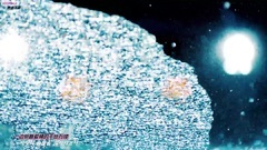 Caption of Sino-South Korean of BLACKPINK Kill Thi