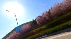 Short of music of What I Want_