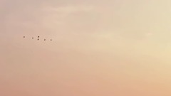 This life pulls your hand only _ music short