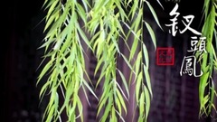 " hairpin head phoenix " appeal to short of musi