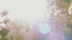 Short of phonic picture beautiful article " liste