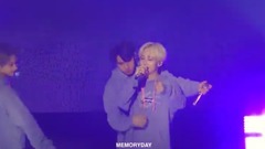 HOILDAY - SEVENTEEN CARATLAND advocate - clean Chi